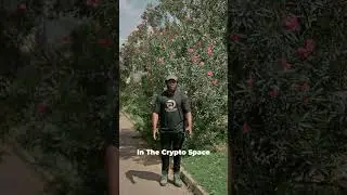 Crypto trading causes depression, anxiety and one could get scammed also!