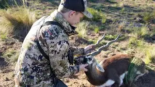 argentina blackbuck hunt