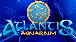 [4K] ATLANTIS AQUARIUM MADRID XANADU