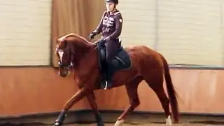 Sitzschulung nach Eckart Meyners (ungeschnittenes Video)