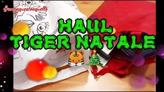HAUL TIGER NATALE con PLANNER ❤ 🐯🎄🌟
