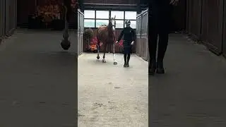 Parmina DS - Walk