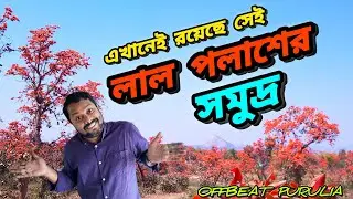 বসন্তের পুরুলিয়া | লাল পলাশের বন | PURULIA TOUR | PALASH PHOOL | JAJAHATU | Travel Vlog 55