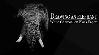 Drawing an ELEPHANT I White charcoal SPEED DRAWING I ARTS&WORK by RS