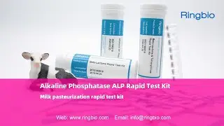 Ringbio Alkaline Phosphatase Rapid Test Strip, milk pasteurization rapid test kit
