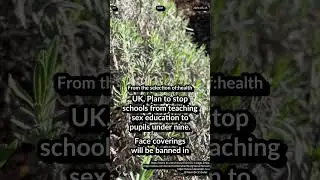 UK stop sex ed to under nine. Face coverings banned in Hamburg schools. Peru: trans mentally ill