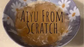 Aiyu From Scratch