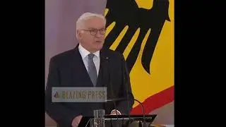 Germany Dissolves Parliament After the Coalition Government Collapses