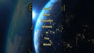 Top 10 Most Beautiful Animals In The World #top10 #shorts #viral #beautifulanimals #shortvideo