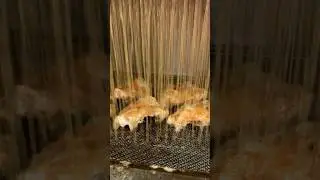 Водопад Жареная Курица
