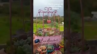 Aprenda a fazer esta gaiola reciclada no Canal Luciana Madeira !! #reciclagemdelatas
