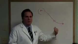 Why Your Thyroid Symptoms Persist with Normal Lab Values