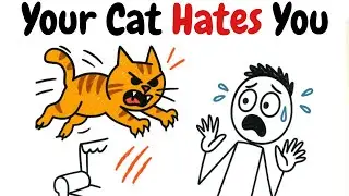 10 Signs Your CAT HATES YOU 😾 - Understanding Feline
