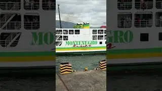 M/V Maria Diana from Montenegro Shipping Lines docking at Batangas Port #montenegroshippinglines