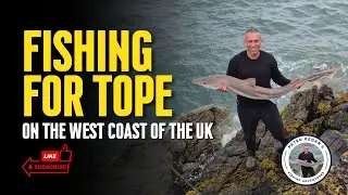 Fishing for Tope on the West Coast of the UK 🎣