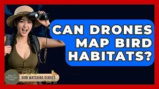 Can Drones Map Bird Habitats? - Bird Watching Diaries