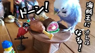 【PARAKEET & PIRATES】セキセイインコとミニチュアで遊ぶ