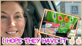 A favorite ALDI Finds!! Weekly ALDI Grocery Haul April 2021