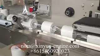 Automatic pillow type facial tissue paper packing machine