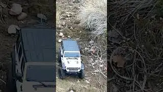 goolrc 1/24 jeep mine Z clone born for this