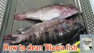 How to clean Tilapia fish 🐠 || helps you save time and energy || Easy way || Glowing chef vlogs ✨