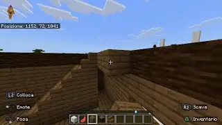 sfida di case su Minecraft tra Capo gatto e il super ralox