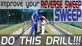 Sweep and Reverse Sweep Drill - Cricket batting drills