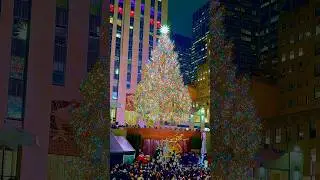 2024 Rockefeller Center Christmas Tree Lighting Ceremony
