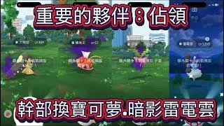 重要的夥伴：佔領-暗影雷電雲（化身形態）、幹部換暗影寶可夢2026/01/23