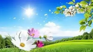 TAURUS JULY 2022 MID MONTH