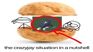 The Crazyjay Situation In A Nutshell