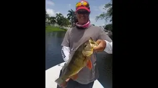Shout out to Miss Hooksetter (2021 Bass Action)