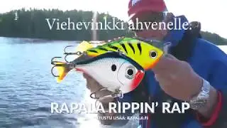 Kes&auml;ahvenelle - Rapala Rippin&acute; Rap