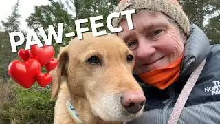 Highland Winter : Discovering a Paw-fect new dog walk