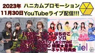 『11/30 18:55～』ハニカムプロモーションYouTubeライブ配信!!!