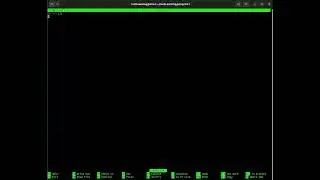First rust program