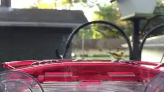 Hummingbird in Slow Motion at Wild Birds Unlimited window feeder