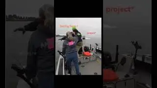 Testing vs frontend vs backend 😂😂#developer #frontend #backend #coding #memes #shortvideo