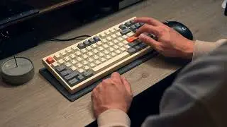 Tiramisuit (Mr Suit) w/ Cream Soda Switches (Stock)