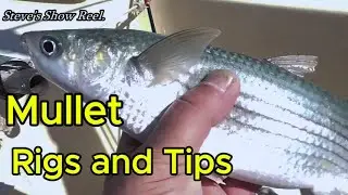 Mullet fishing rigs : How to catch mullet using this rig. #mulletfishing  #fishingtips