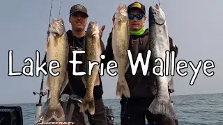 Trolling Bandits for Lake Erie Walleye