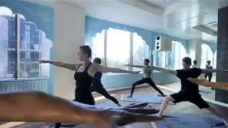 Tantris Center for Yogic Science (30-sec)