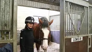 Mounted Unit video