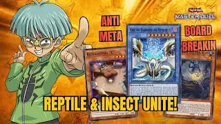 Duelist Cup Annihilation! - [Master Duel] Mitsurugi Insect Deck Profile Yu Gi Oh