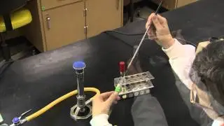 BMSC Specialized Techniques