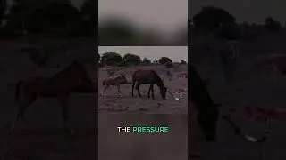 Незавершенный проект: Давление не дает вам покоя!