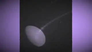 Thalictroa - A Spiral Density Wave