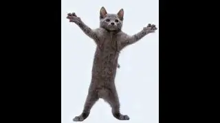catjumps #veryshorts