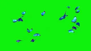 Green Screen Effects | 4k Video Butterfly 🦋 | No Copyright | chroma key @kidsride