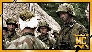 Waffen SS Panzer Division 